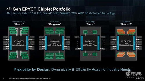 AMD在Hot Chips大会揭晓Siena处理器规格 最高64核128线程，性能与能效再攀高峰